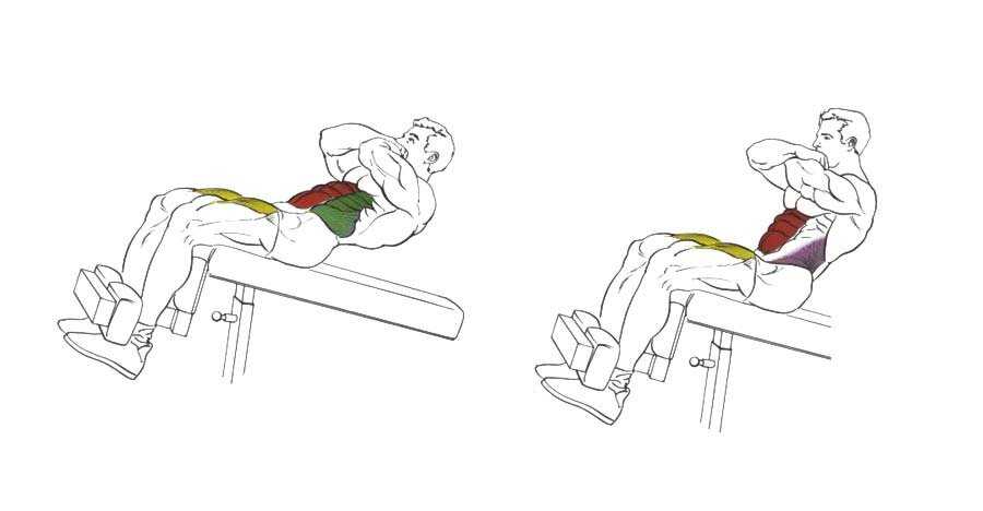 Скручивание на скамье с наклоном вниз: видео и фото упражнения