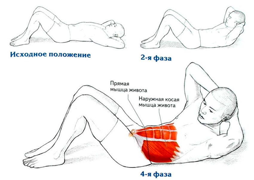 Скручивания лежа: эффективное упражнение на пресс | rulebody.ru — правила тела