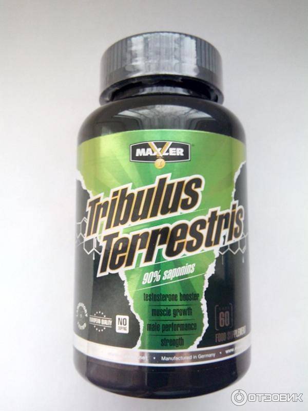 Tribulus terrestris для улучшения фертильности, как пить трибулус