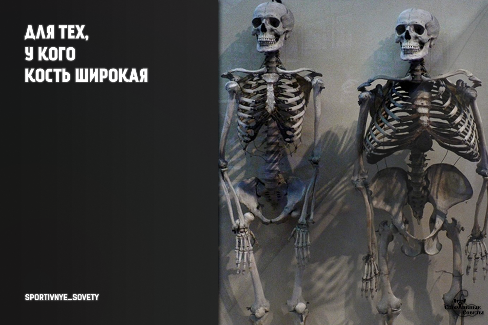 Тяжелая кость – правда или миф? — layk sportwear на hashtap