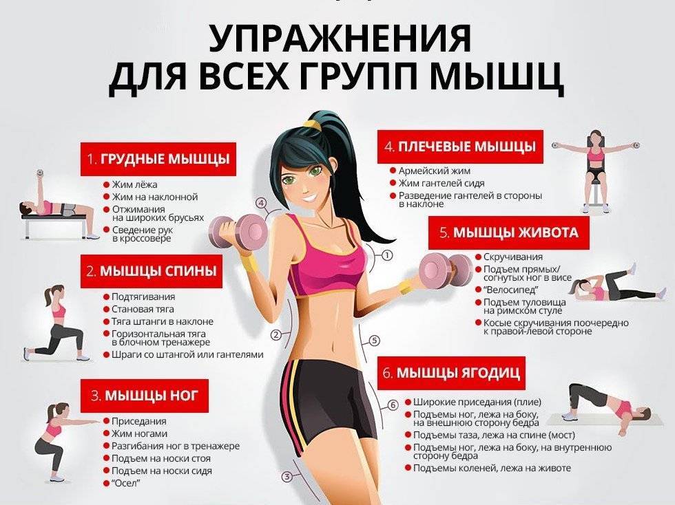 Комплекс упражнений для похудения дома на каждый день для женщин: видео