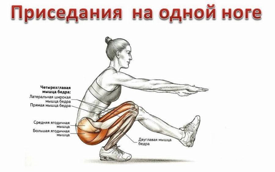 Разведение ног в тренажере: особенности упражнения, какие мышцы работают - tony.ru