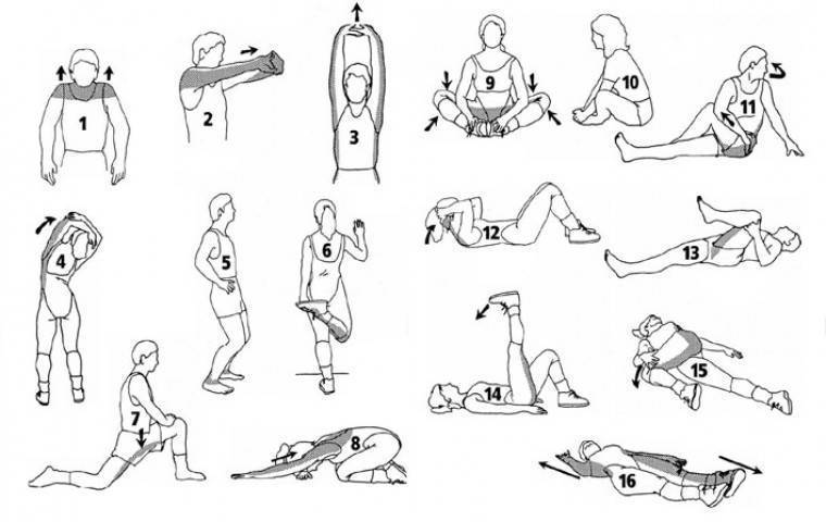 Динамическая растяжка: комплекс упражнений на все группы мышц