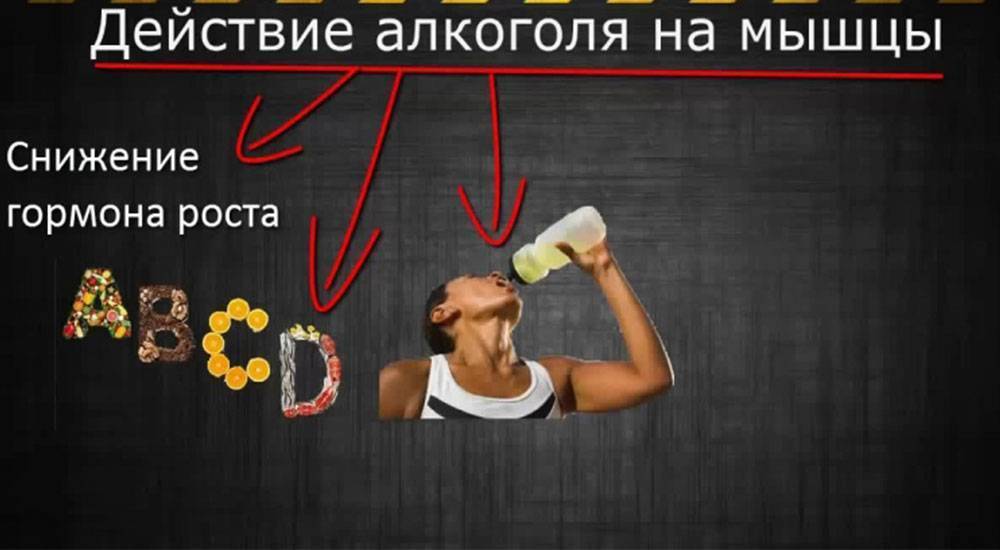 Влияние алкоголя на мышцы, почему болят мышцы после алкоголя, как алкоголь влияет на рост мышечной массы