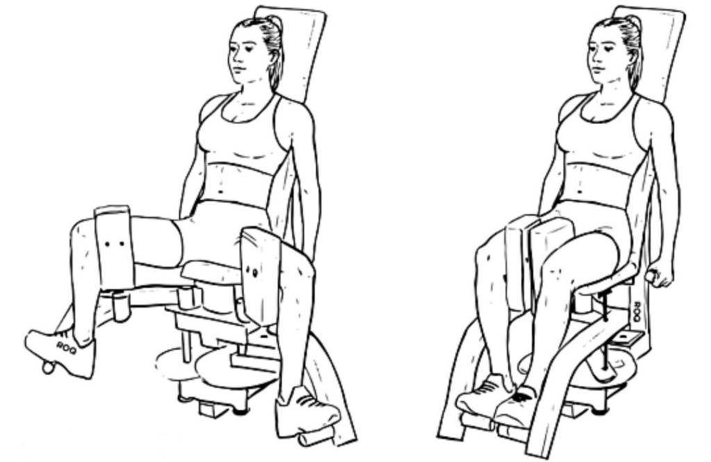 Разведение ног в тренажере: техника сидя и стоя, чем заменить в домашних условиях