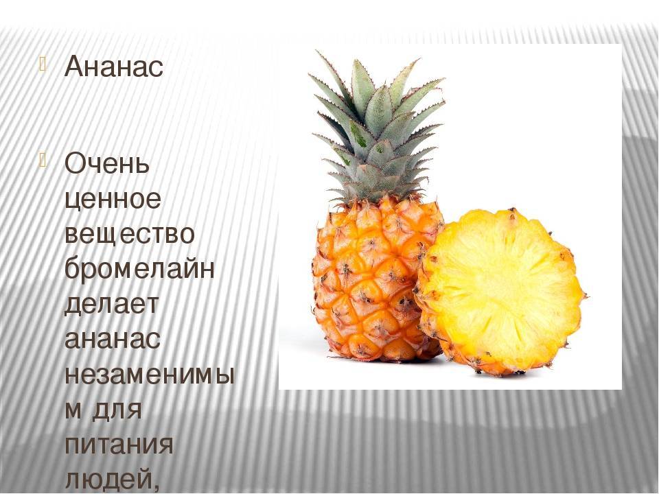 Сколько можно есть ананасов. Витамины в ананасе. Ананас полезные вещества. Характеристика ананаса. Вещество содержащееся в ананасе.