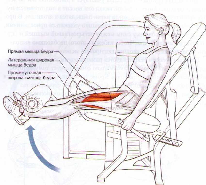Сведение ног сидя на тренажере полезно для мужчин