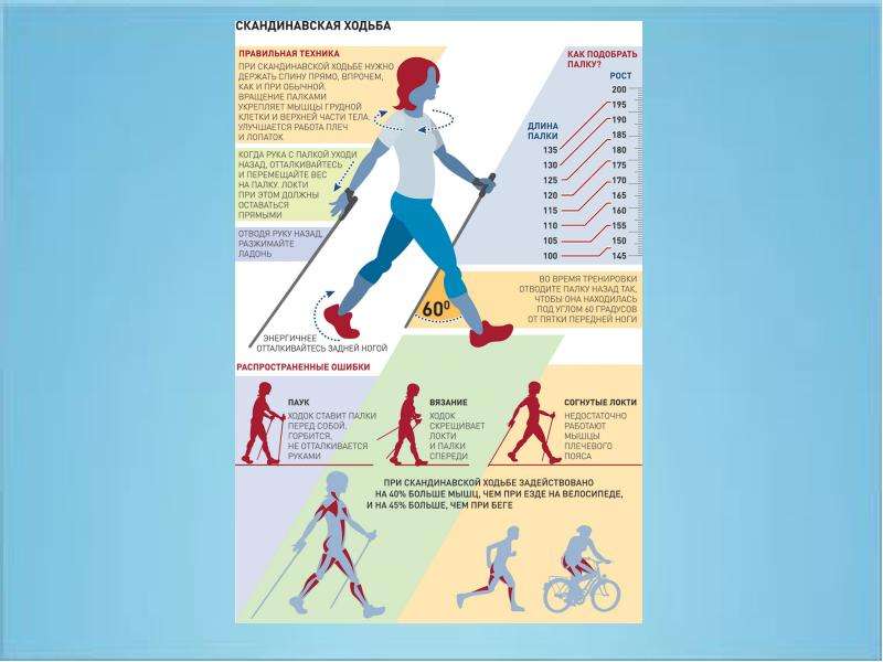 Польза ходьбы пешком: сколько ходить для здоровья