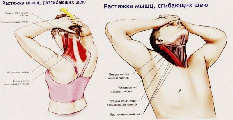 Постизометрическая релаксация мышц шеи: упражнения и техника выполнения