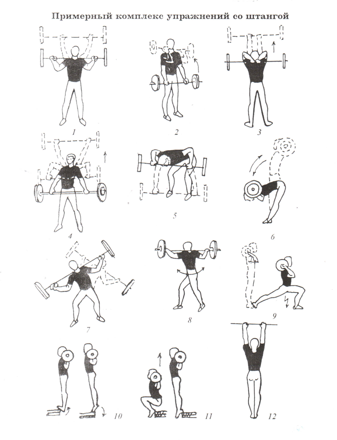 Упражнения со штангой в домашних условиях - комплекс на все группы мышц