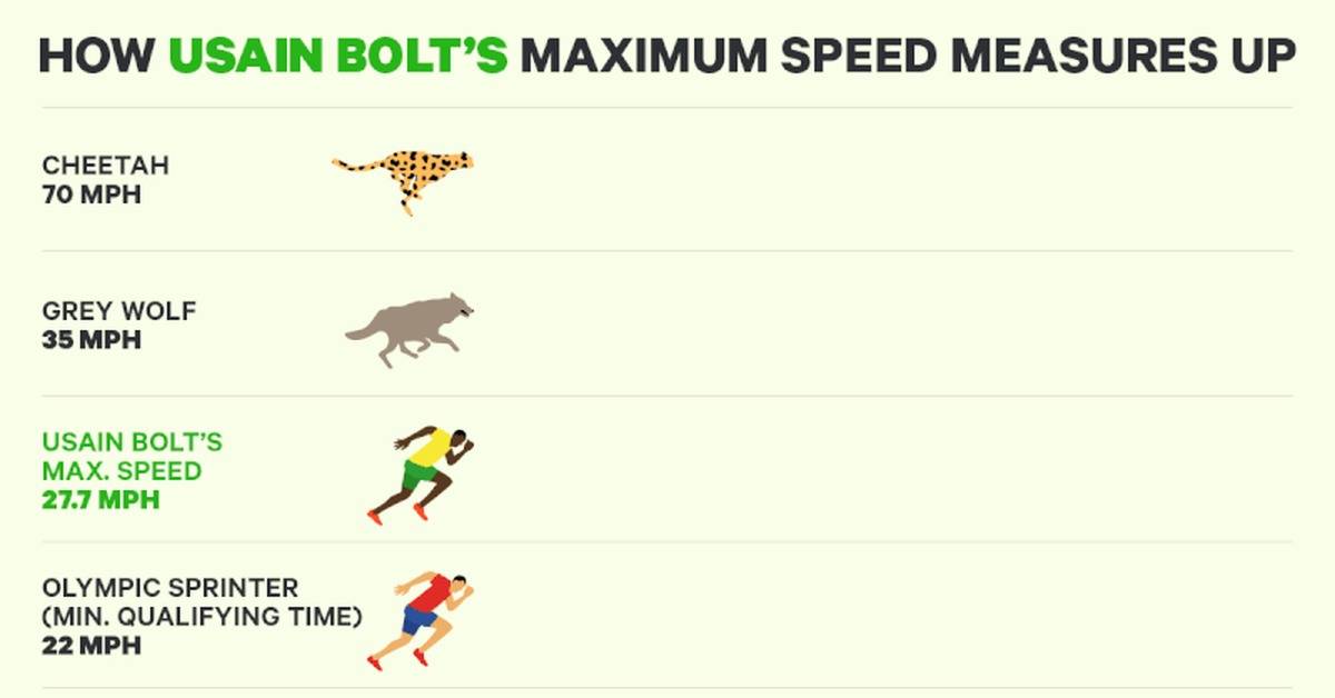 Скорость в спорте : какие факторы на неё влияют – блог fitbar.ru