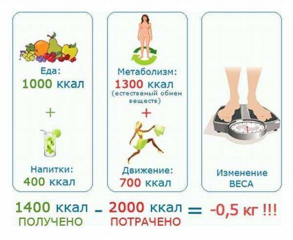 «мало ем, но не худею»: как ускорить метаболизм - постсовет.ру