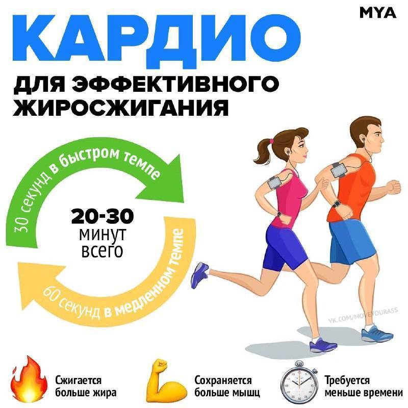 Упражнения и тренировки для сжигания жира на животе — гид