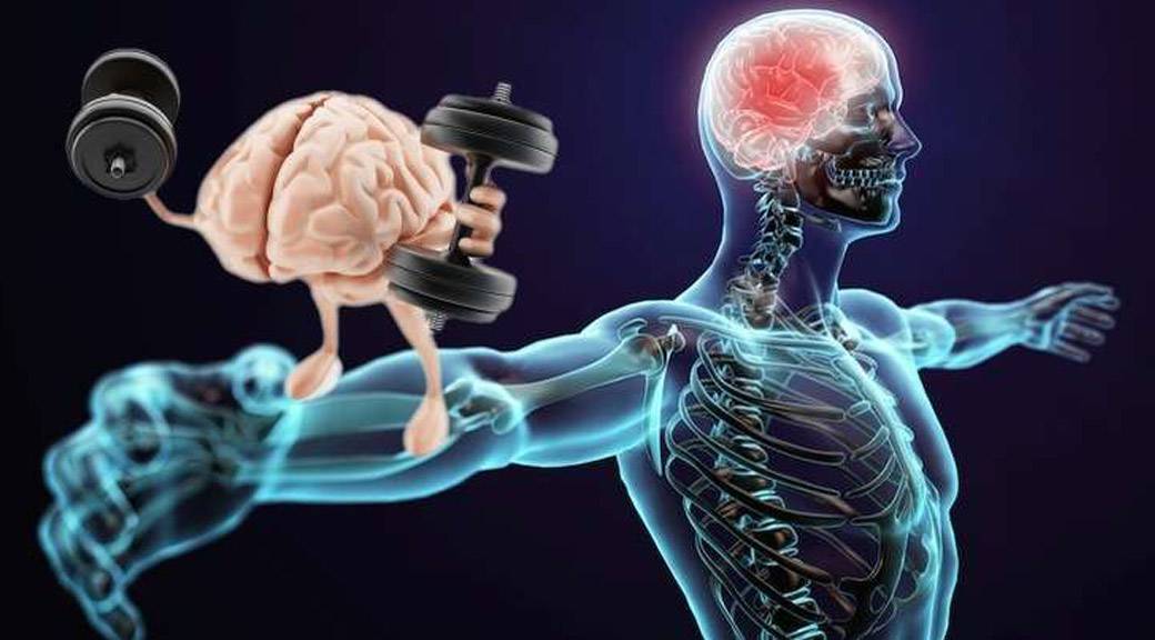 ✅ ментальная связь мышцы мозг как развить. связь мозг-мышцы. качаемся правильно. тренинг грудных мышц - ledi-i-sport.ru