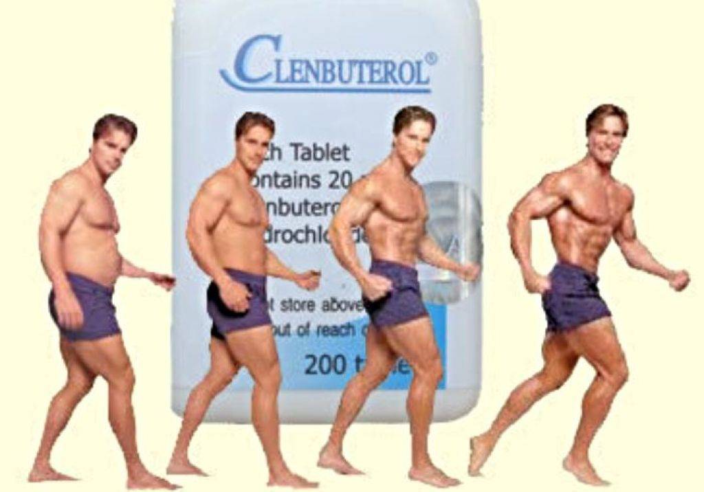 Статьи о кленбутероле. как правильно применять кленбутерол в бодибилдинге, фитнесе, для сушки и похудения