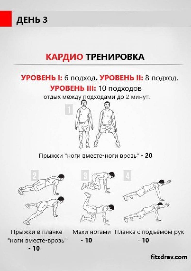 Что лучше для похудения - кардио или силовые тренировки? | balproton.ru