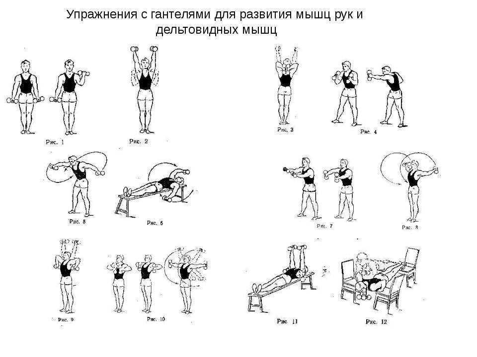 Эффективные упражнения с гантелями для женщин | proka4aem.ru