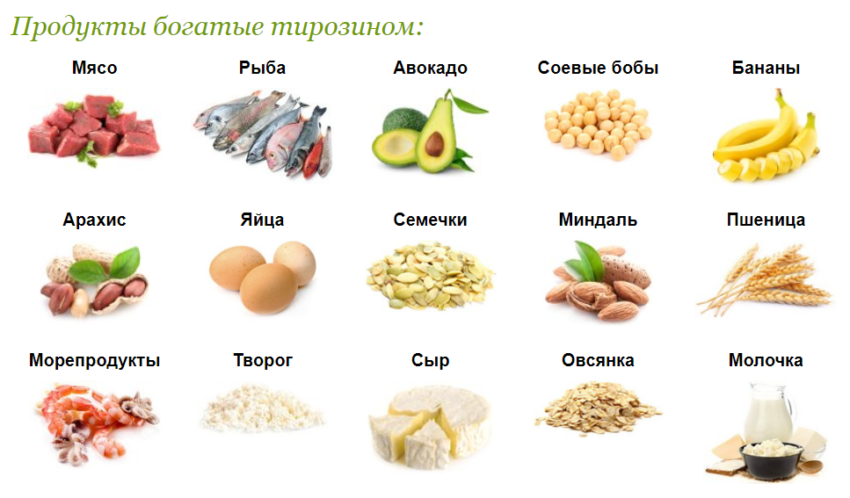 Где содержится триптофан в продуктах. Л тирозин в каких продуктах содержится. Аминокислота тирозин в каких продуктах содержится. Источники тирозина в продуктах. Продукты богатые аминокислотой тирозин.