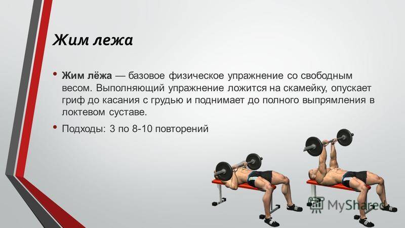 Жим штанги лежа: техника выполнения, работающие мышцы, польза и противопоказания