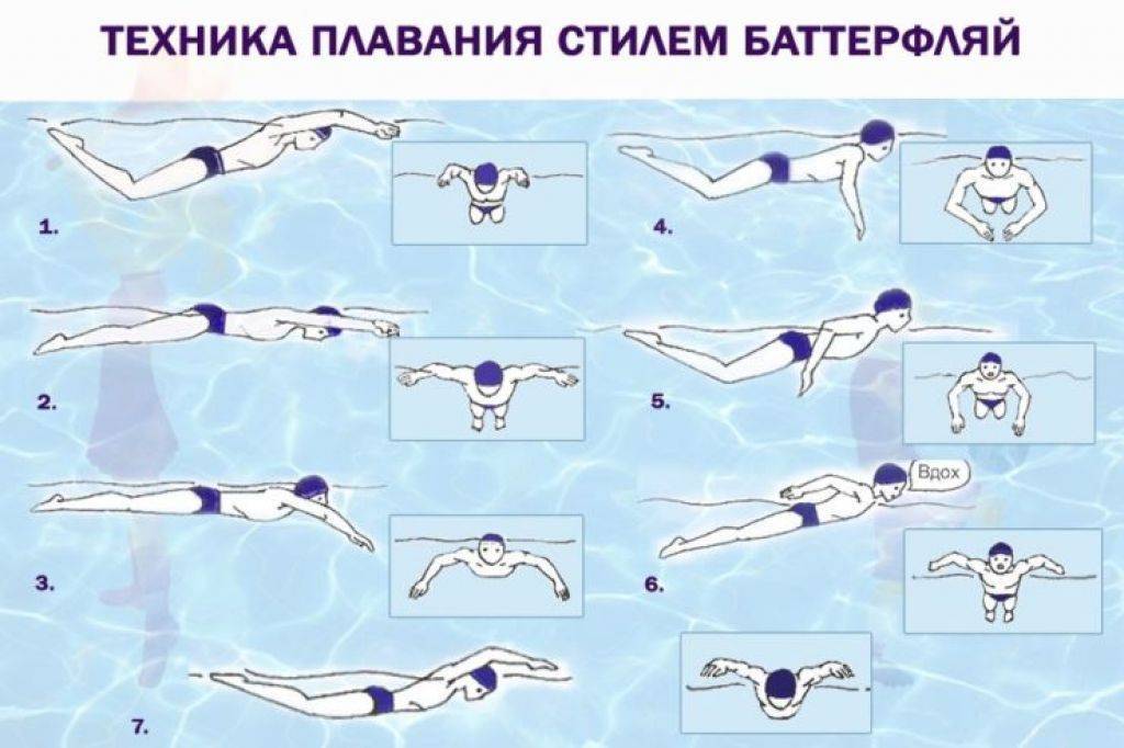 ✅ стиль плавания баттерфляй техника - velomania.su