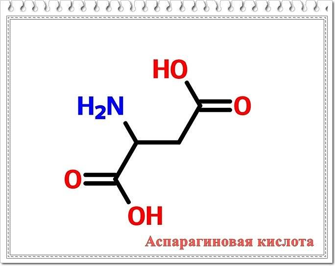 Аспарагиновой кислоты (daa): как принимать в бодибилдинге, в каких продуктах содержится