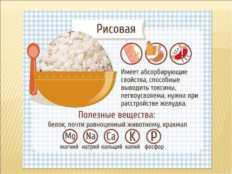 Рисовая каша на молоке - калорийность, полезные свойства, польза и вред, описание