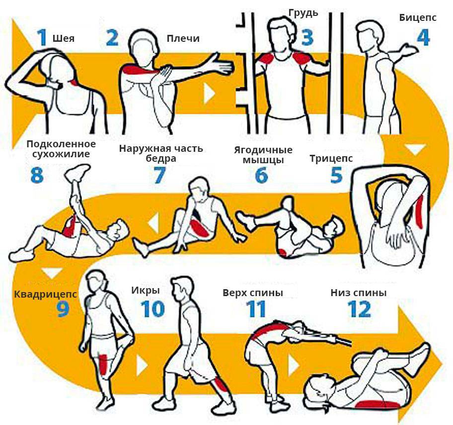 Кроссфит разминка перед тренировкой (общая, специальная, суставная): комплекс упражнений