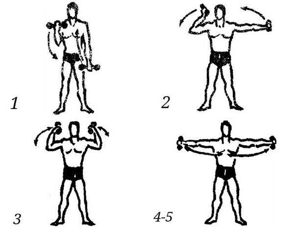 Система евгения сандова с гантелями. евгений сандов - сильнейший человек в мире, основоположник силовой гимнастики, культуризма