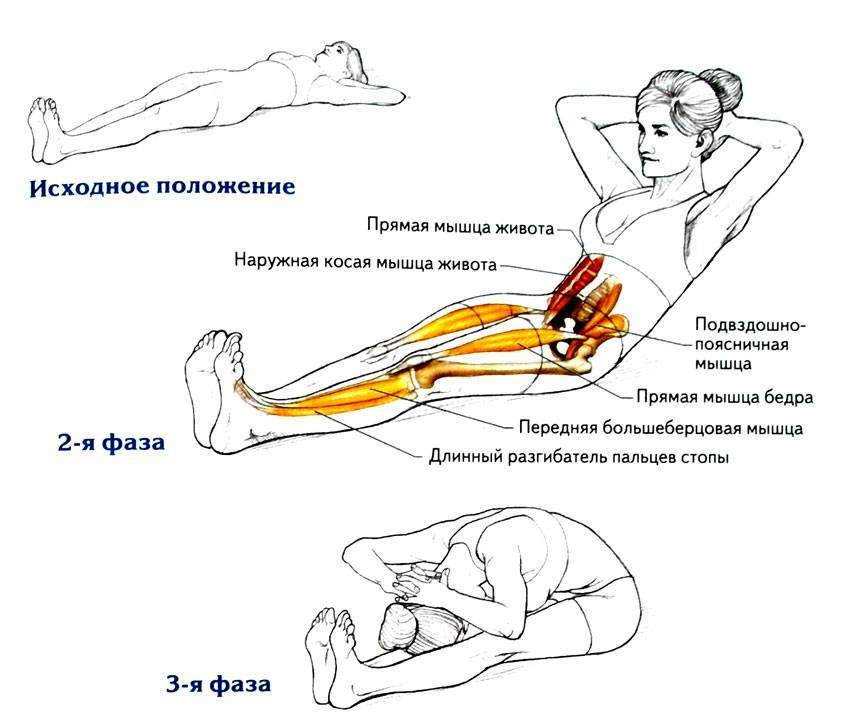 Тренировка пресса: техника выполнения упражнения «велосипед» | rulebody.ru — правила тела