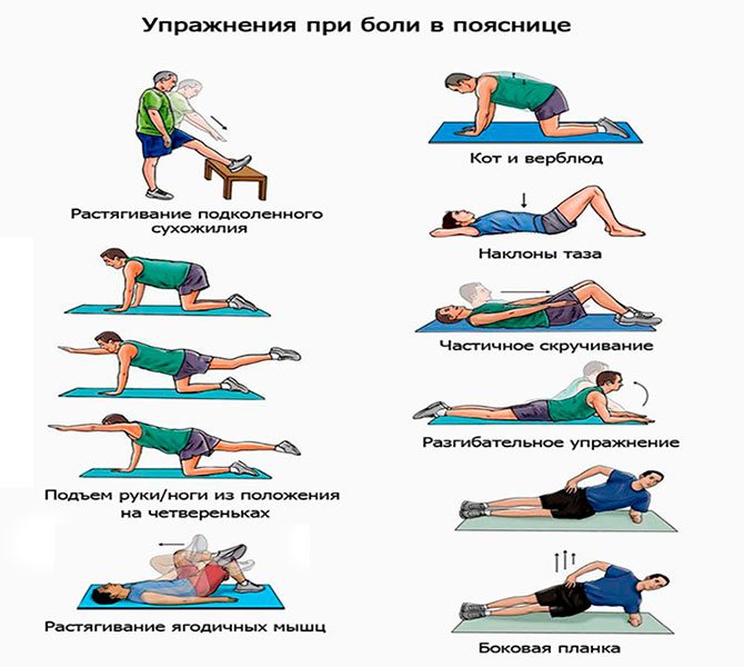 Упражнения в тренажерном зале при остеохондрозе: правила тренировок - tony.ru