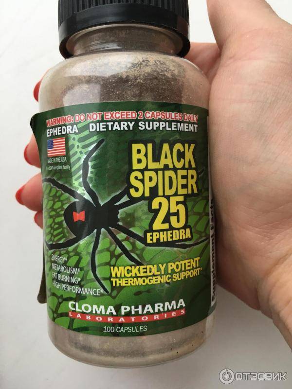 О жиросжигателях черная вдова: состав и правила приема black spider