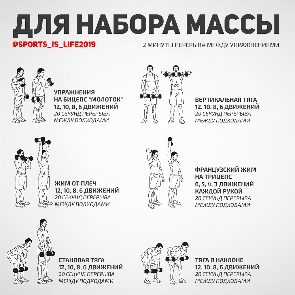 Базовые упражнения на ноги: как тренировать ноги мужчине на массу
