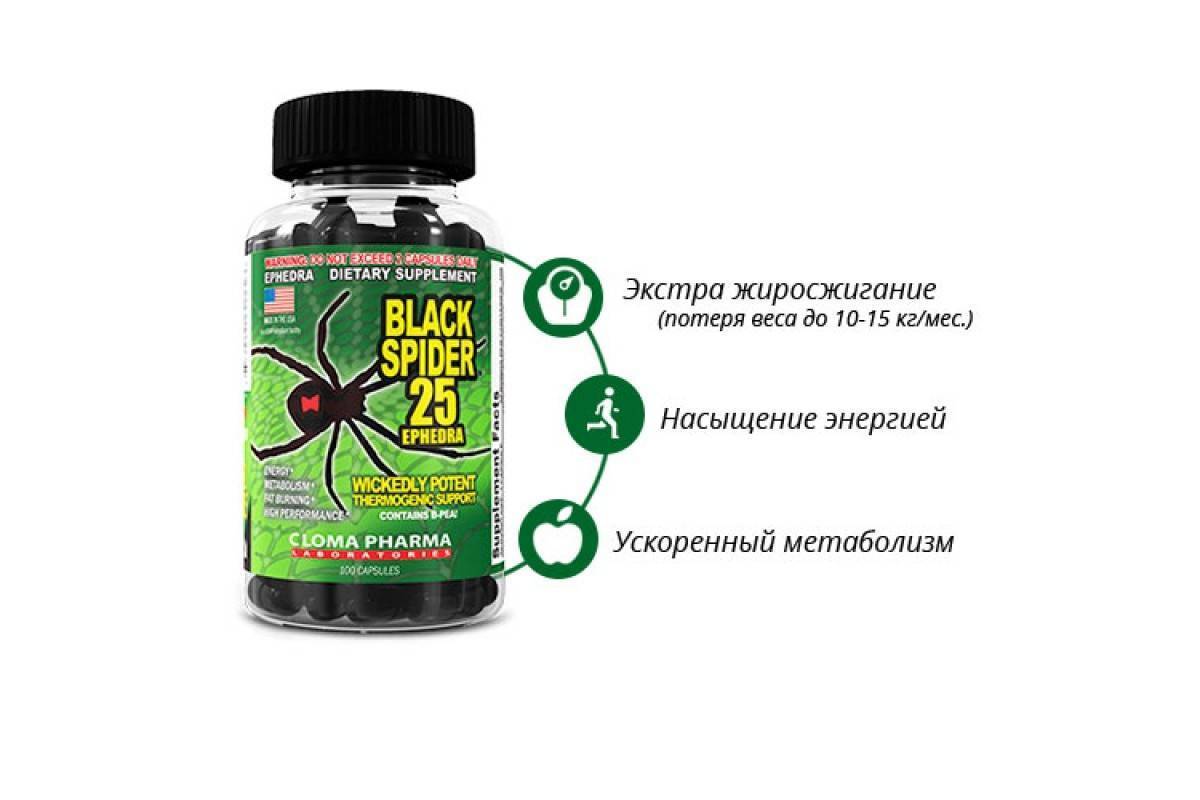 Таблетки для похудения черная вдова. black spider 25 ephedra отзывы | школа красоты