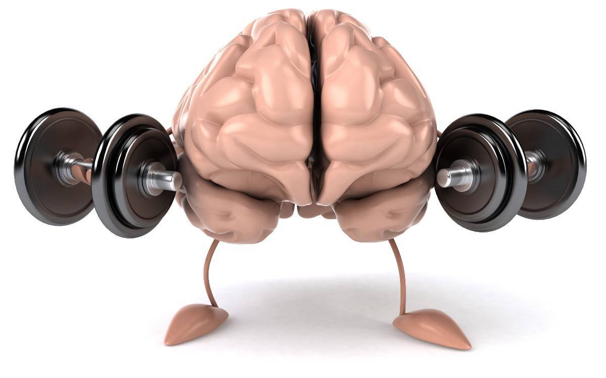 Связь мозг-мышцы в бодибилдинге