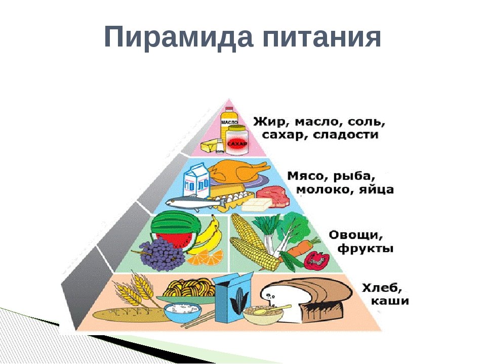 Пищевая пирамида или пирамида правильного питания человека