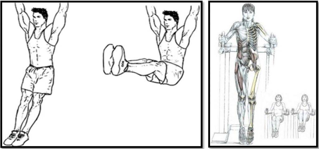 Как научиться делать подъем ног к перекладине, особенности упражнения |