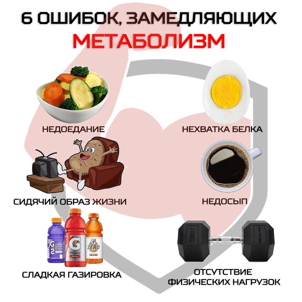Метаболизм и нарушение обмена веществ - ожирение