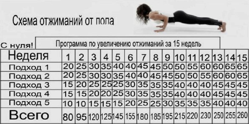 Программы тренировок отжиманий от пола для начинающих и профессионалов | rulebody.ru — правила тела