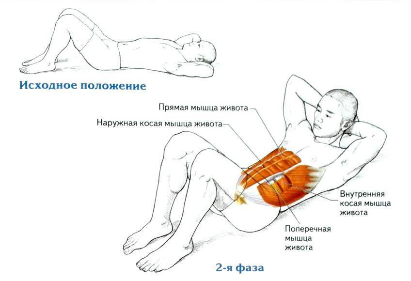 Скручивания лежа: эффективное упражнение на пресс