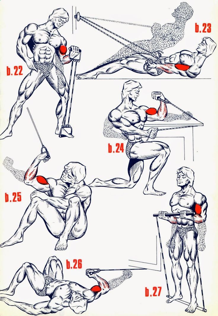 Бицепс в домашних условиях: как быстро накачать мужчине? пошаговое фото+видео руководство 12 базовых упражнений