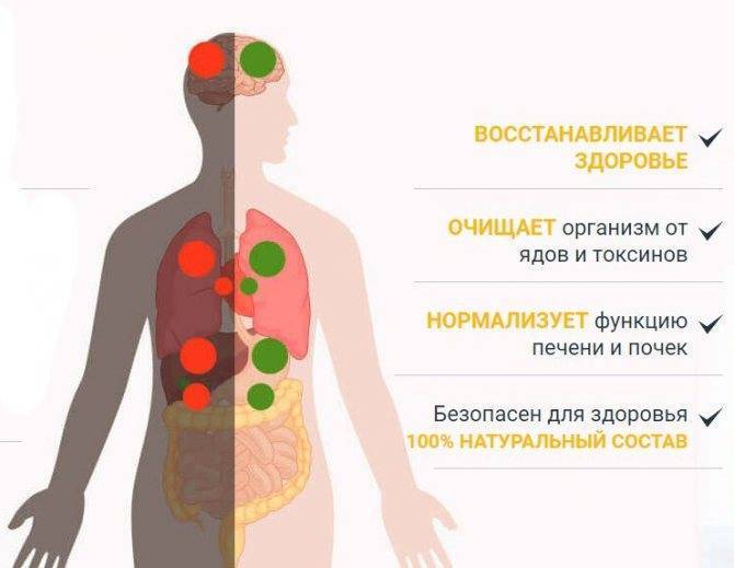 Как очистить организм от шлаков и токсинов. очищение организма активированным углем, препаратами и продуктами - medside.ru