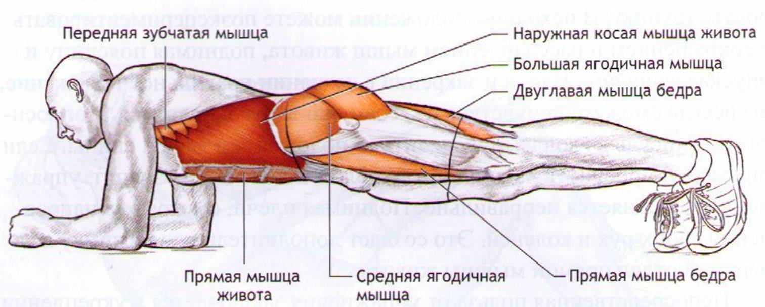 Упражнение планка: виды, техника выполнения с фото