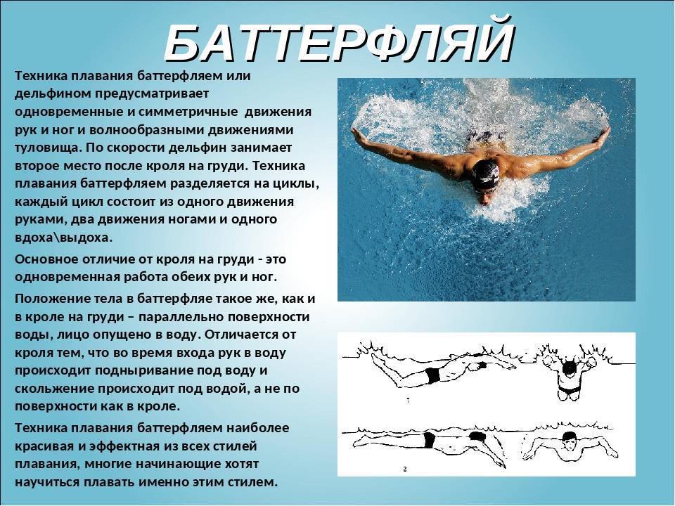 Баттерфляй: техника плавания, обзор и история стиля. видео