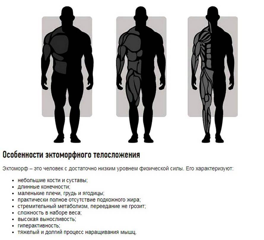 Мезоморф, эктоморф и эндоморф. теперь не запутаетесь. мезоморф, эктоморф, эндоморф: тренировки и питание. как определить свой тип телосложения?