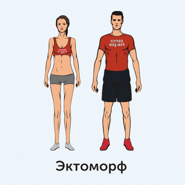 Как определить свой тип телосложения: эктоморф, мезоморф, эндоморф