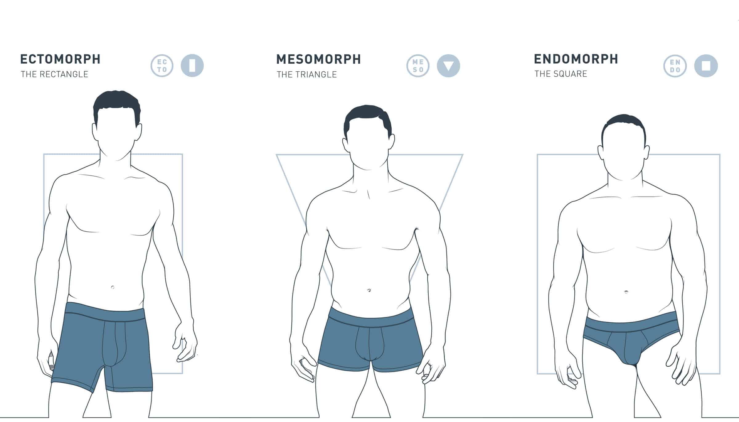 Три типа телосложения человека