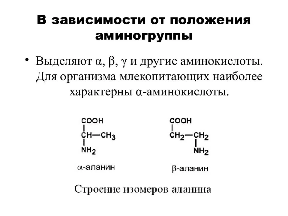Аминокислоты аминогруппа карбоксильная группа. Классификация аминокислот по положению аминогруппы. Аминокислоты в зависимости от положения аминогруппы. Классификация аминокислот по гидрофобности радикалов. Общая структура α-аминокислот.
