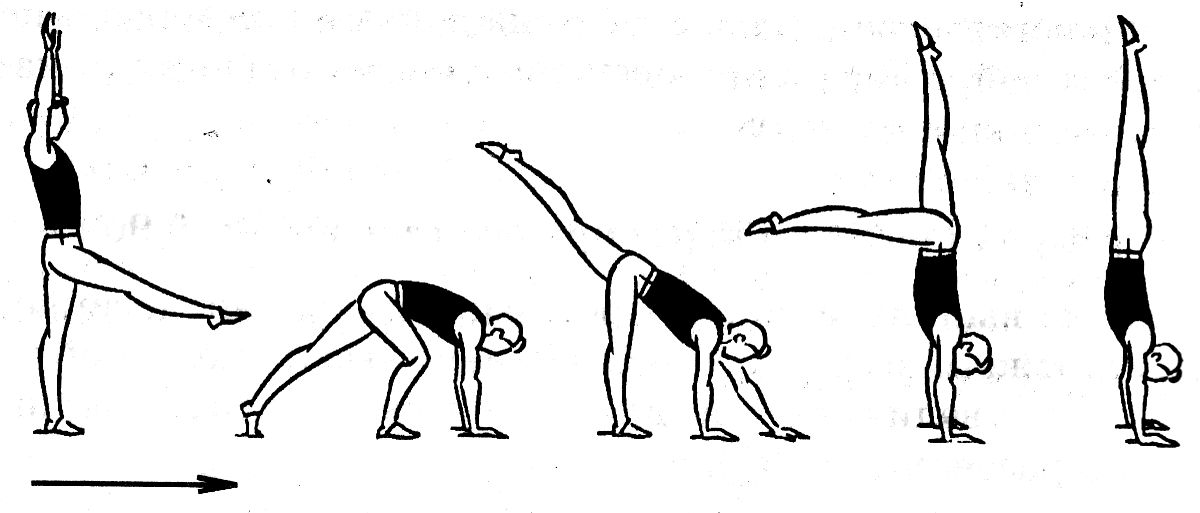 Как быстро научиться квадробике. Стойка на руках техника выполнения. Акробатические упражнения. Упражнение стойка на руках. Акробатические упражнения стойка.