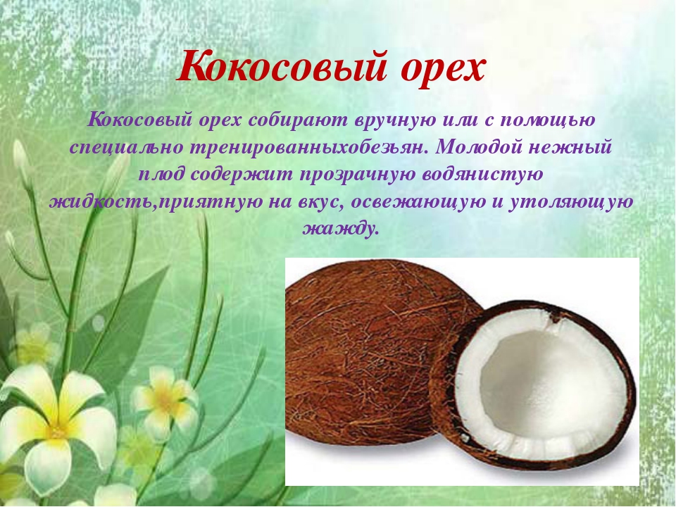 Сколько воды в кокосе. Чем полезен Кокос. Витамины в кокосе. Полезные свойства кокоса. Что полезного в кокосе.