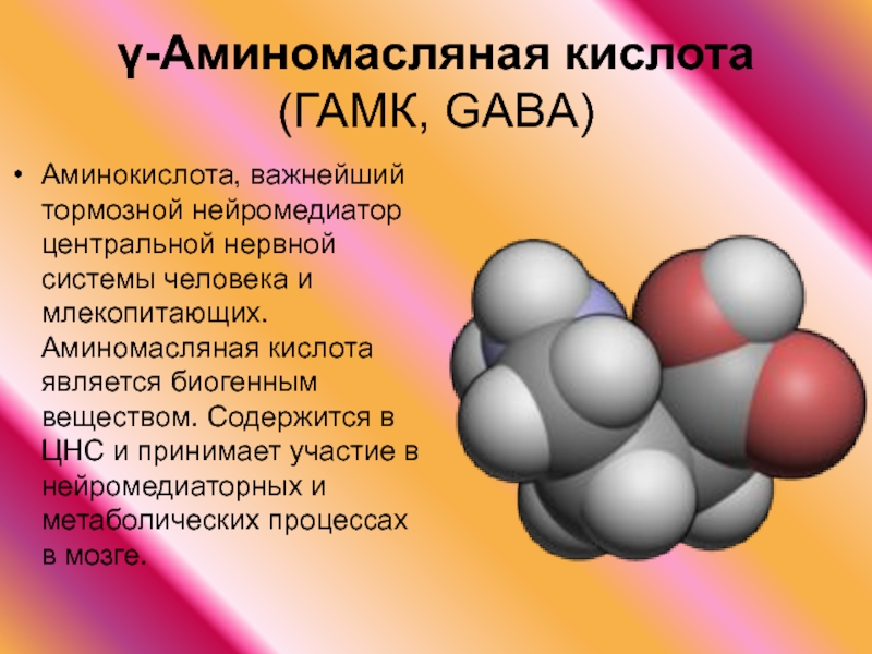 Габа или гамк (гамма-аминомасляная кислота): применение в спортивном питании, где содержится и как принимать добавку